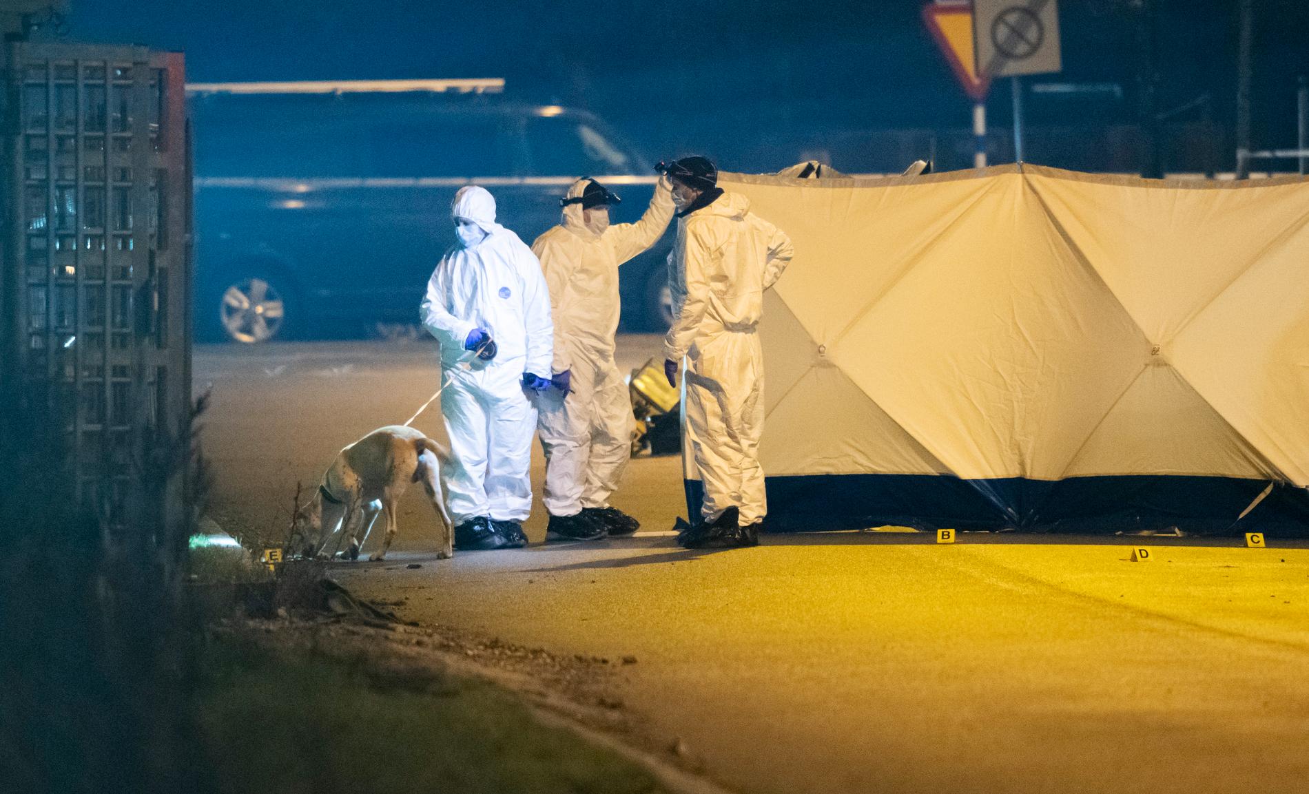 Polisens kriminaltekniker arbetar i Hyllie i Malmö natten till fredag efter det misstänkta mordet.