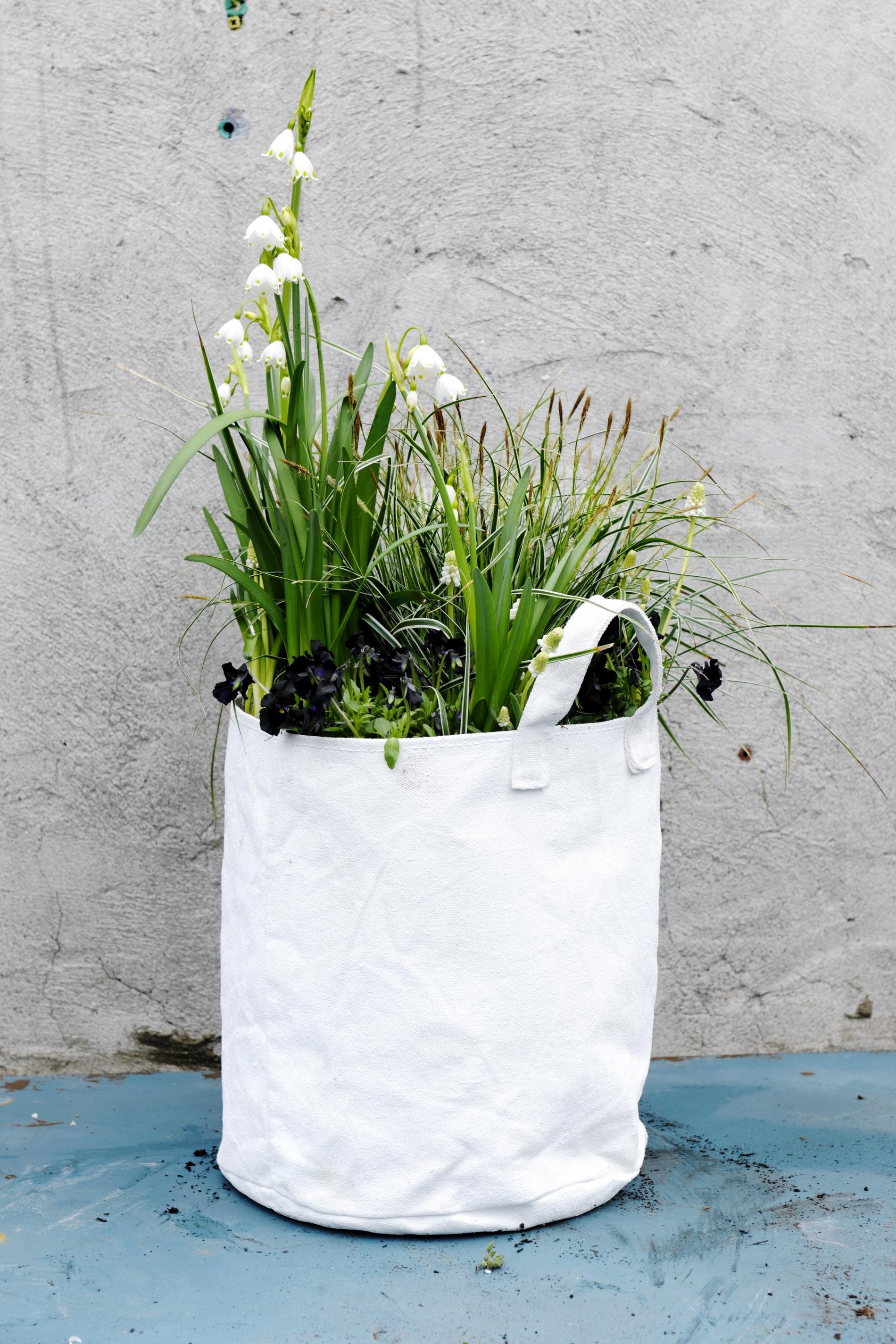 Du behöver:

 Planteringskasse


Lecakulor 


Krukjord 


Carex, brokig 


Svart viol


Sommarsnöklocka 


Vit pärlhyacint