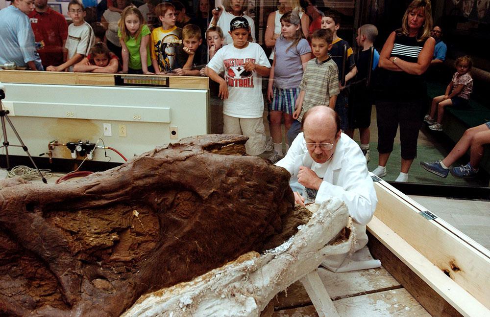 Alan Tabrum, amerikansk paleontolog, tillsammans med en 65 miljoner år gamla Tyrannosaurus Rex-dinosaurien ”Samson” på Carnegies naturhistoriska museum 2004. Skallen, som återfanns i South Dakota, USA, 1992 var den första som hittades helt intakt.
