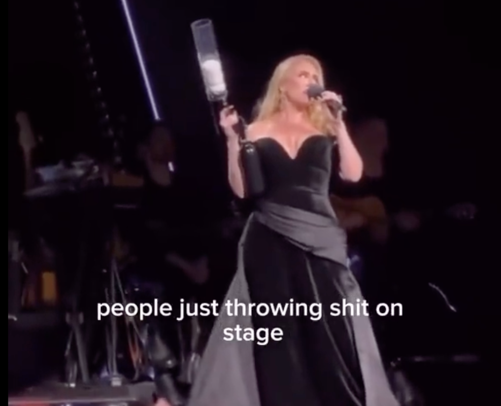 Adele varnade publiken för att kasta upp något på hennes scen...