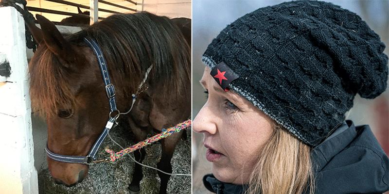 Amatörtränaren Catarina Norqvist vakade i två nätter då hennes stjärnhäst drabbats av kolik