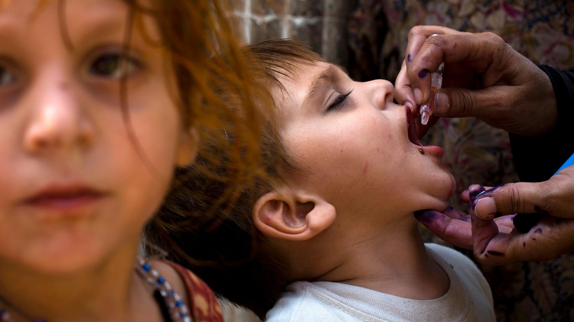 OPV-vaccinet ges genom droppar i munnen. Efter fyra doser i olika åldrar beräknas barn ha full immunitet mot polioviruset.
