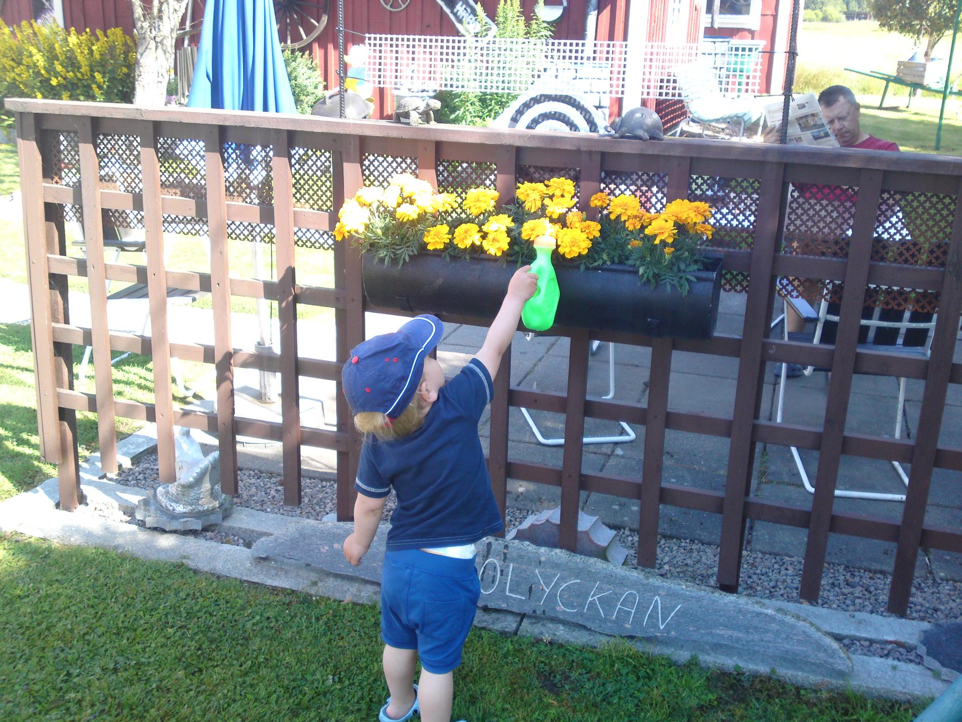 Elias står en stund nedanför blommorna och funderar hur han ska göra för att blommorna ska få lite vatten.... men till slut går det bra... Mvh Maria Karlsson Töreboda