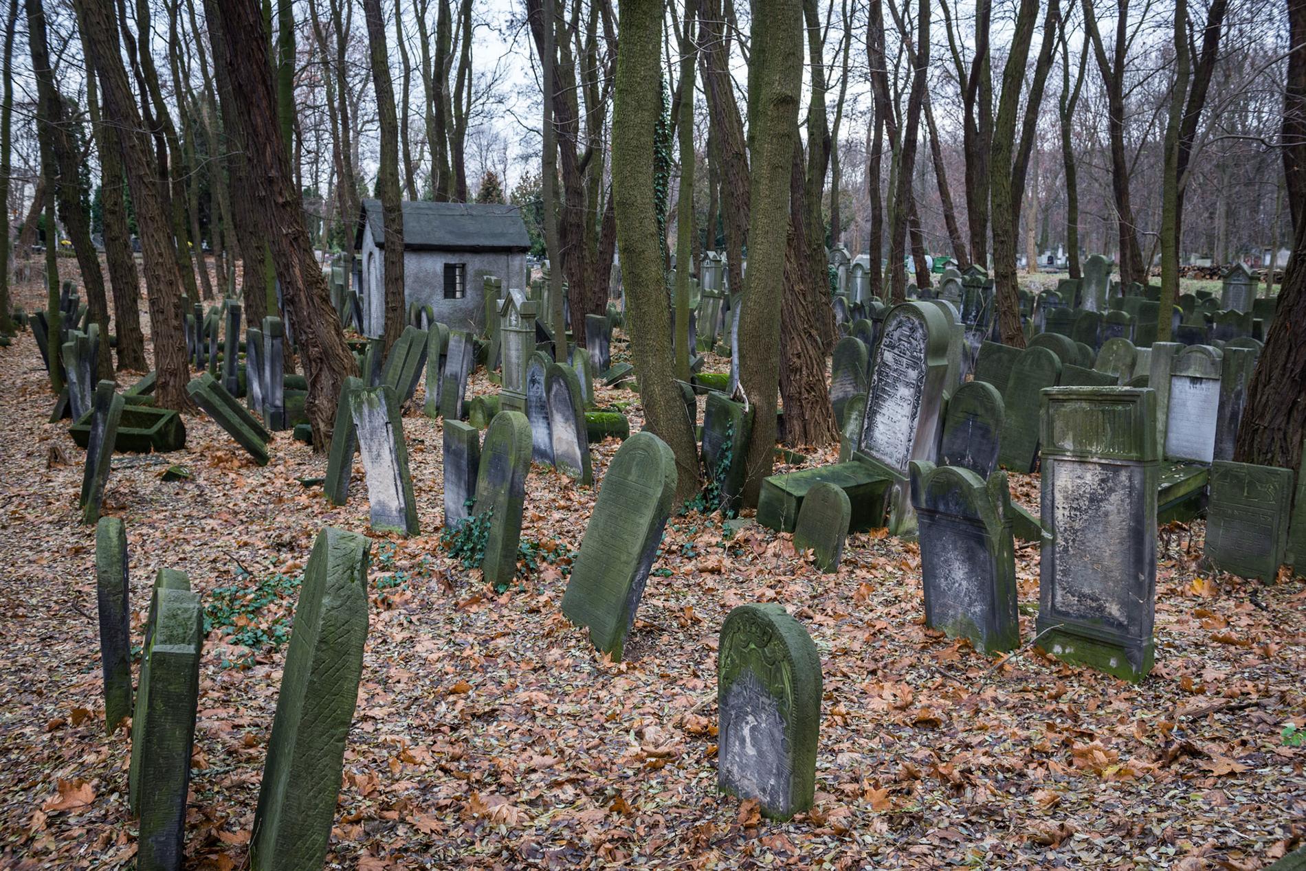 Judiska begravningsplatsen i Warszawa.