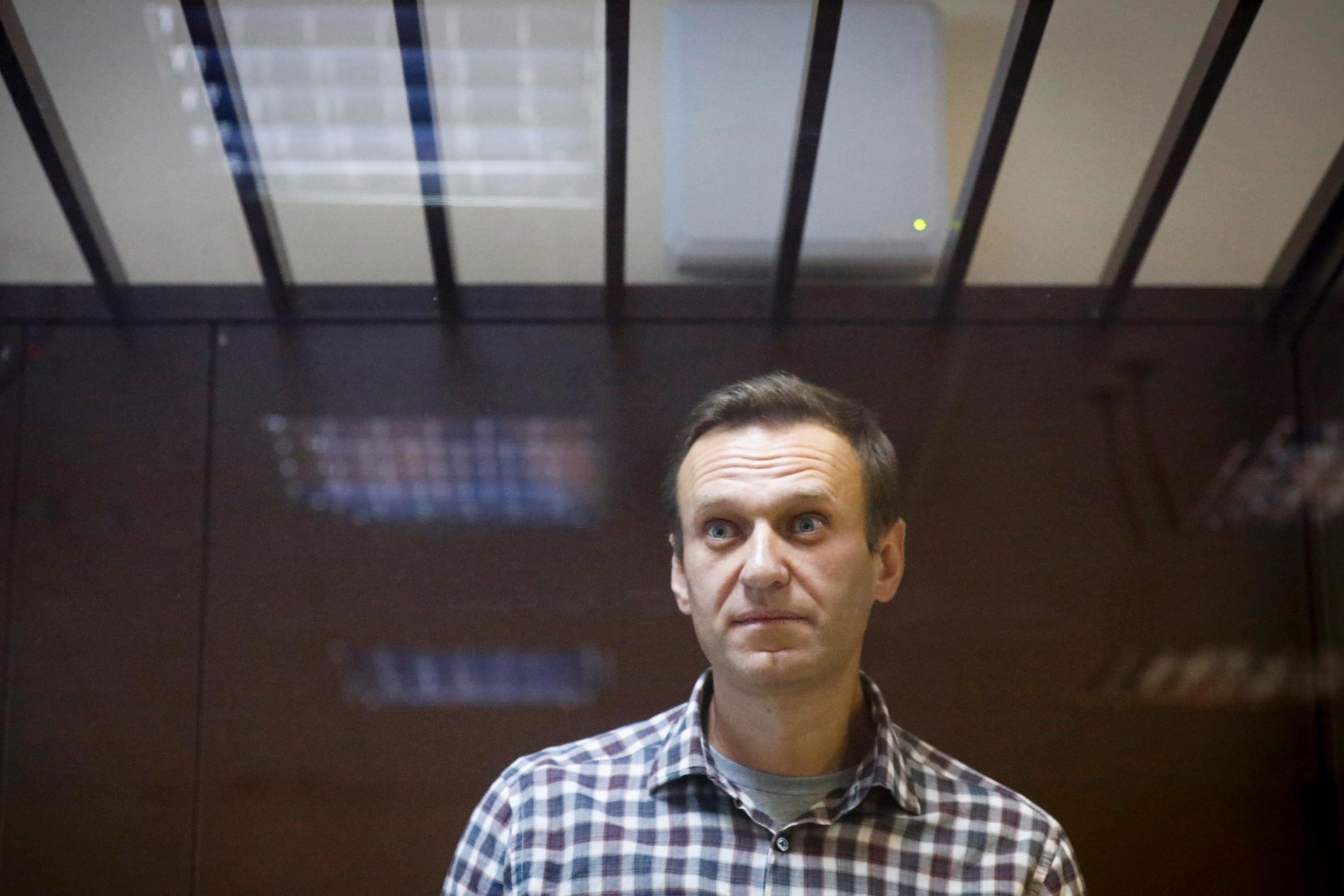 Den ryska regimkritikern Aleksej Navalnyj. Arkivbild.