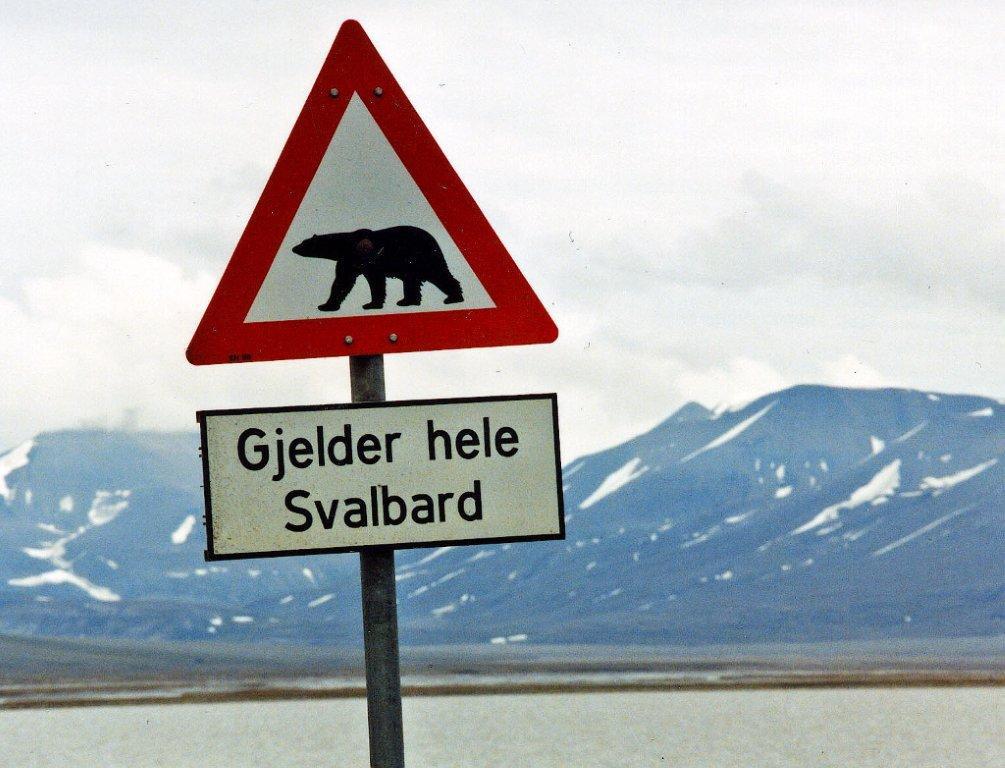 2. Svalbard - exotism på närhåll. Här finns 3000 fritt strövande isbjörnar.