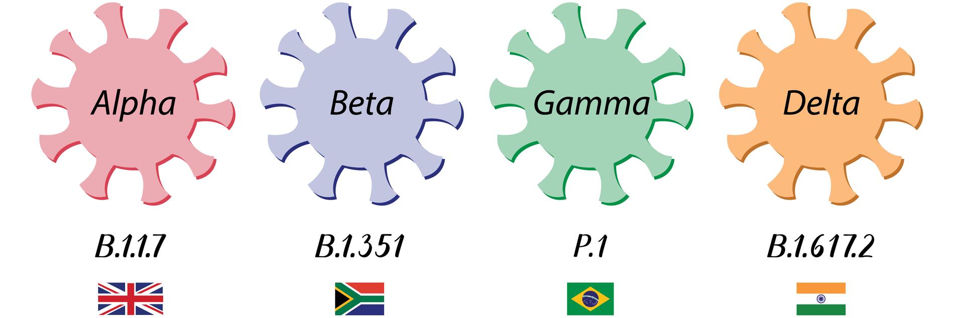 Alla coronavirus muterar, även det som orsakat pandemin. Här är de fyra mutationer som är mest spridda. 