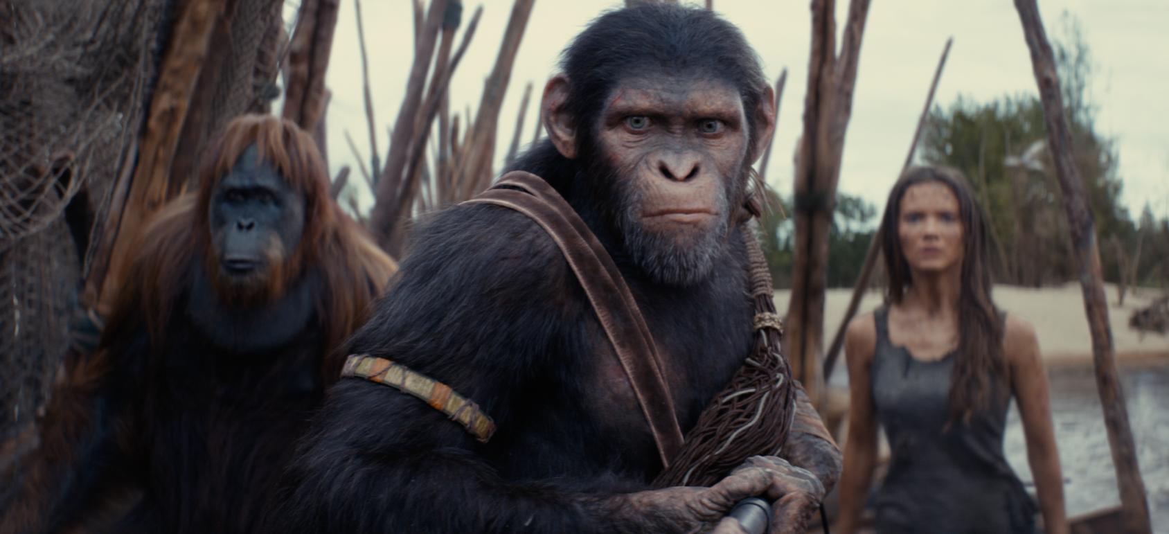 Kingdom of the planet of the apes – recensionen