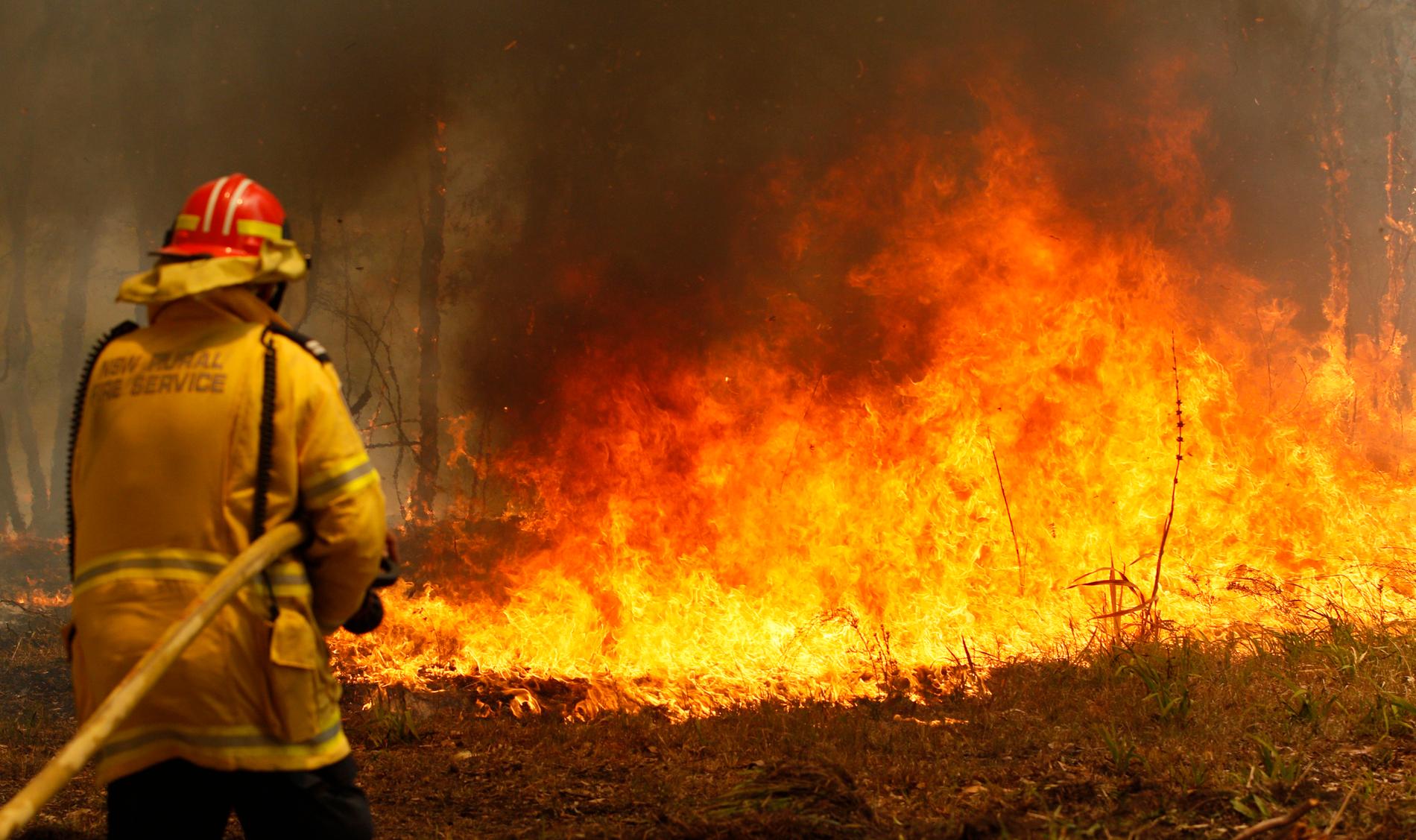 Brandmän bekämpar skogsbränder i närheten av Old Bar, omkring 25 mil norr om New South Wales delstatshuvudstad Sydney.
