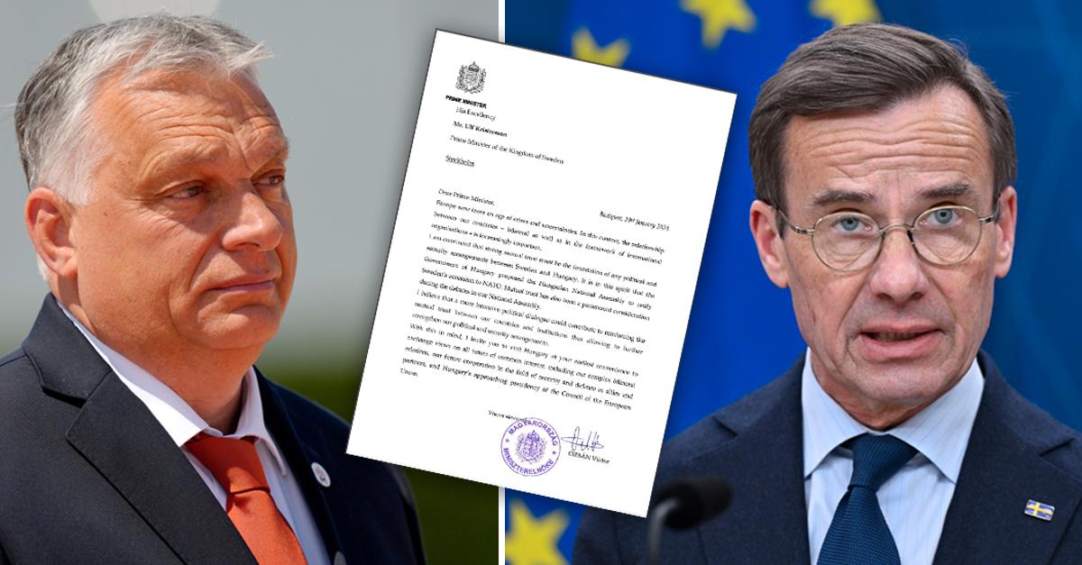 Orbáns brev om Nato till Kristersson: ”Starkt ömsesidigt...