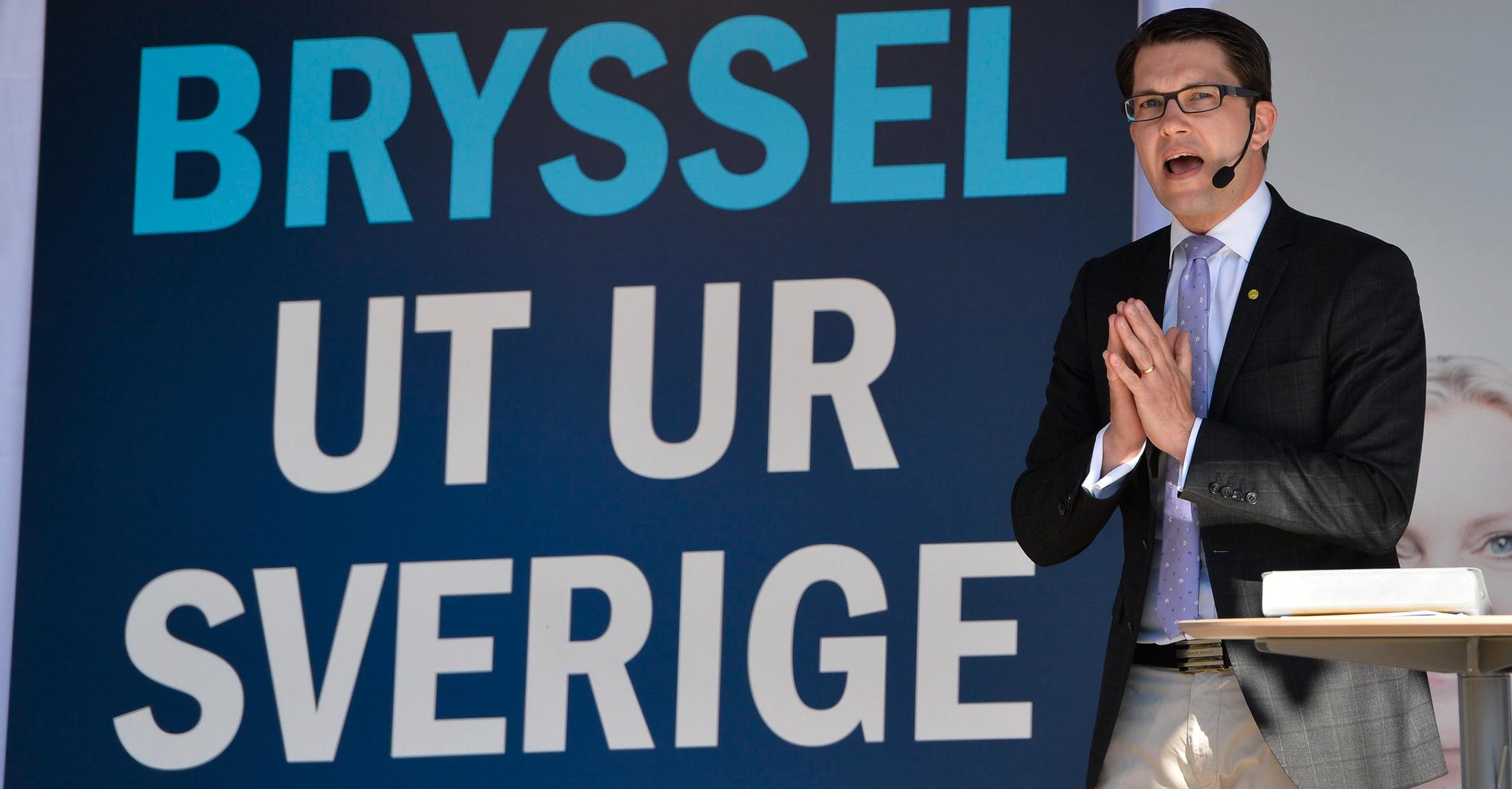 Jimmie Åkesson (SD) under valet till Europaparlamentet 2014.