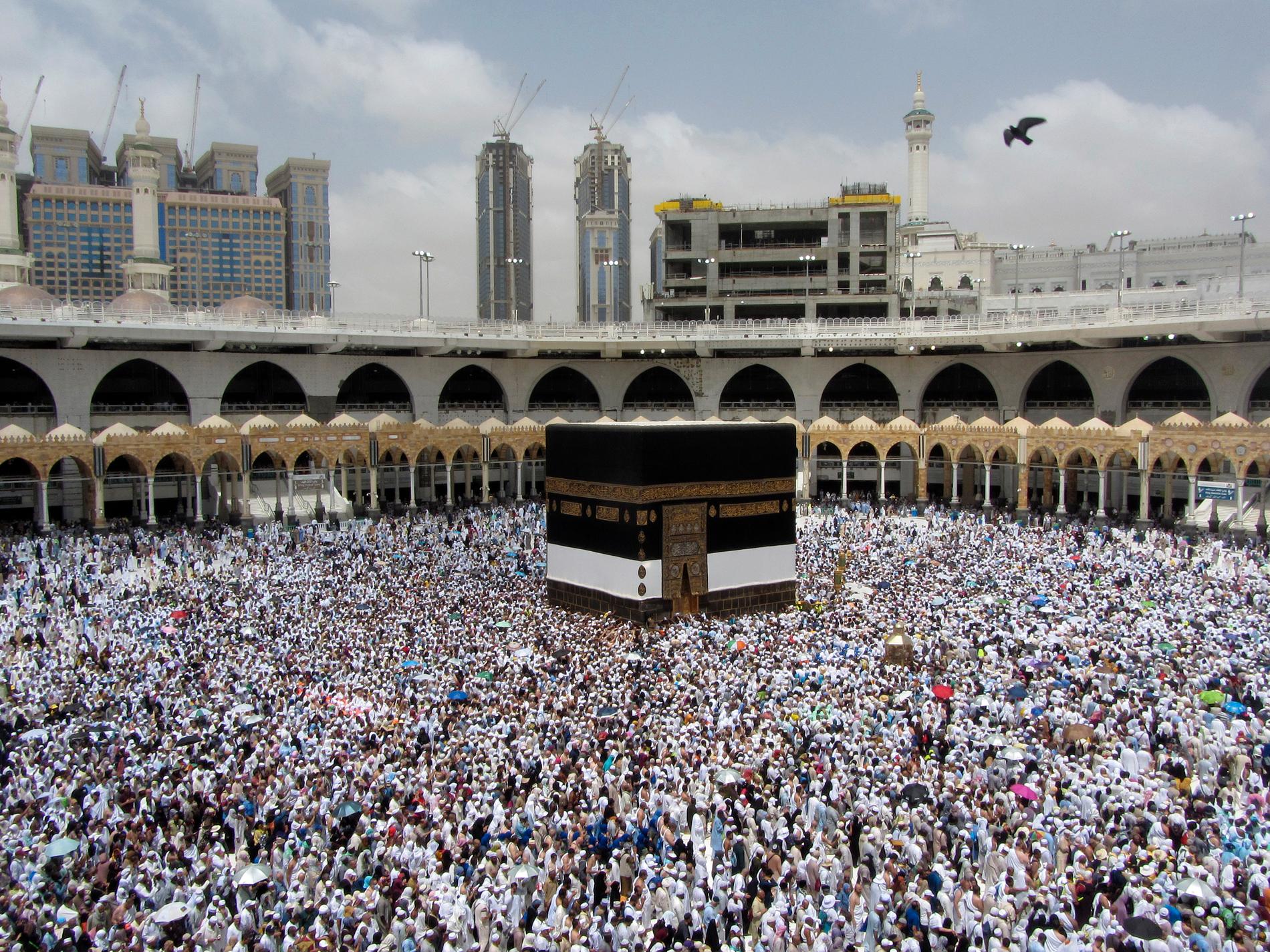 Muslimernas årliga pilgrimsfärd hajj i Mecka i Saudiarabien startar i dag.