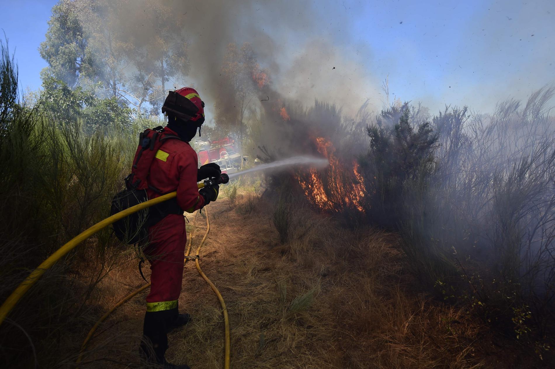 Räddningspersonal bekämpar skogsbrand i nordvästra Spanien.