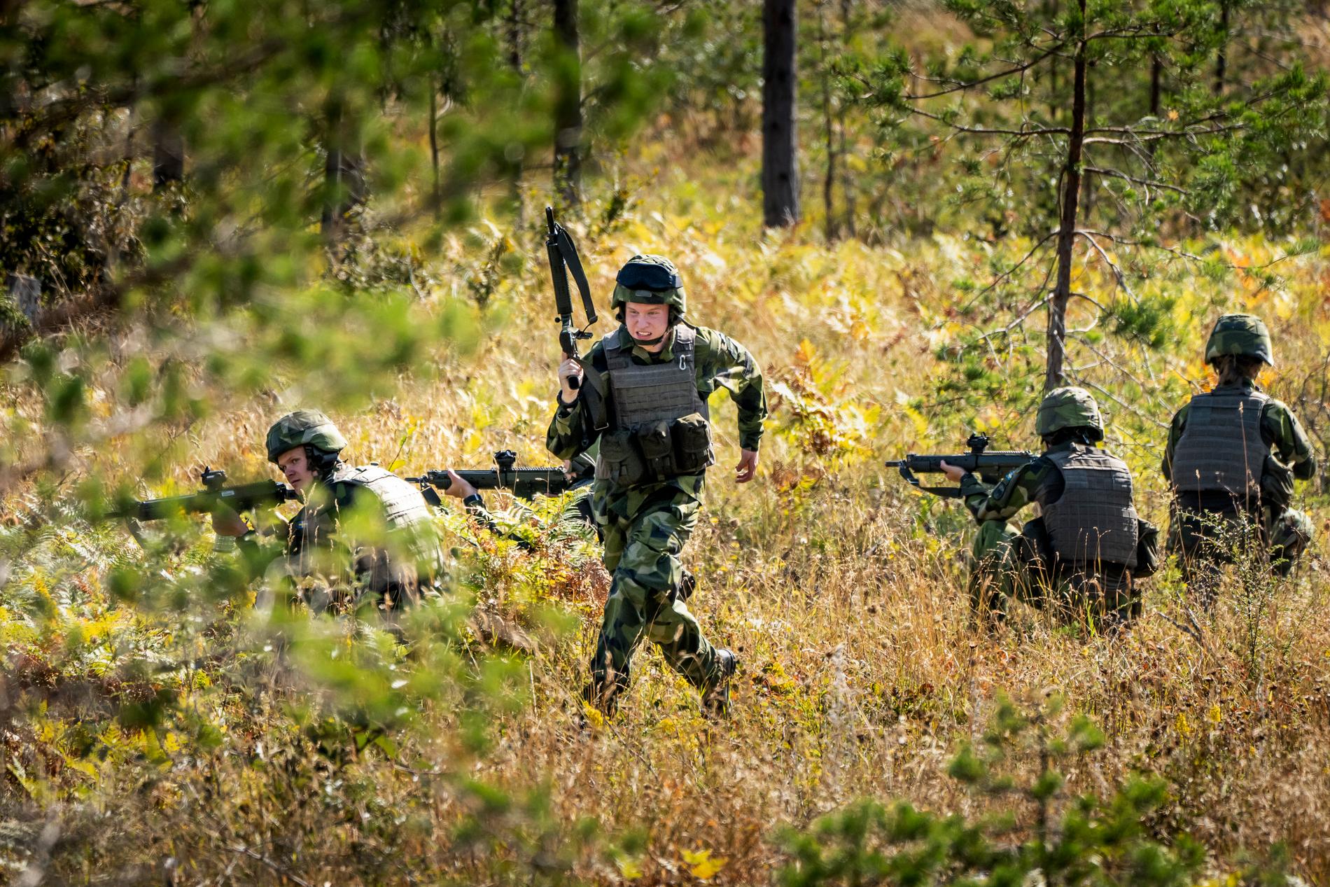 Bara fyra månader efter den massiva militärövningen ”Operation Freja” ansökte Sverige om medlemskap i Nato.