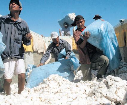 SLAVAR FÖR OSS Unga bomullsplockare i Bolivia. Priset på textilråvaror är så pressat att världens bomullsarbetare tvingas till vidriga villkor.