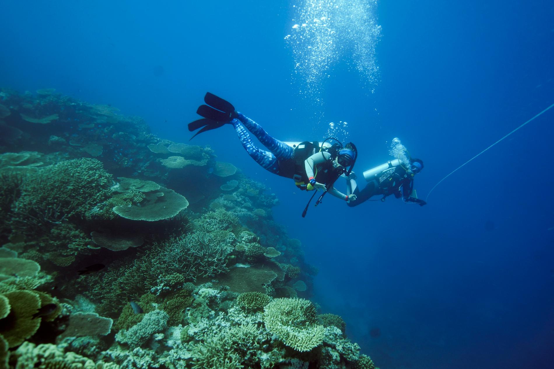 Två dykare simmar över australiska korallrev utanför Queensland.