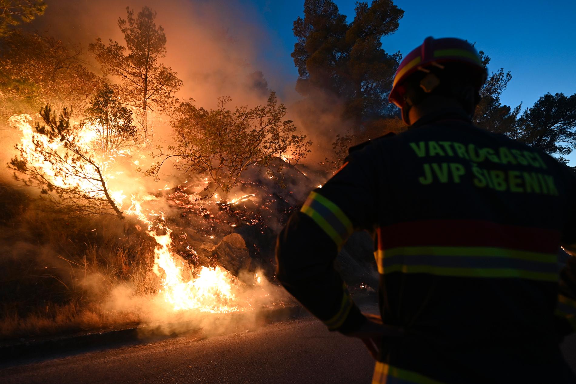 Brandmän försöker kontrollera en lågorna som sprider sig snabbt av de starka vindarna nära havet i Zaton i Kroatien.