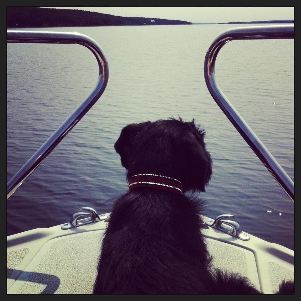 Shiro åker båt för första gången.