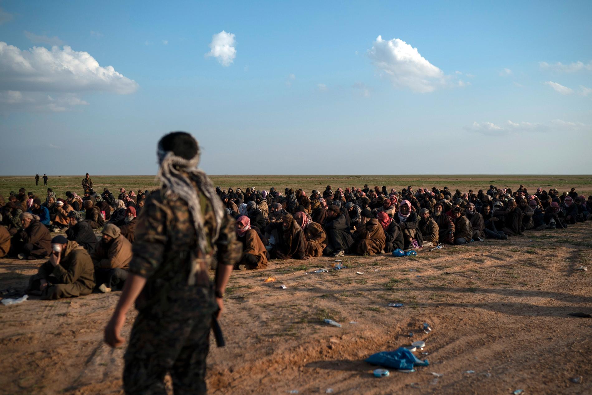 Milismän från SDF vaktar män som har evakuerats nära orten Baghouz i östra Syrien.