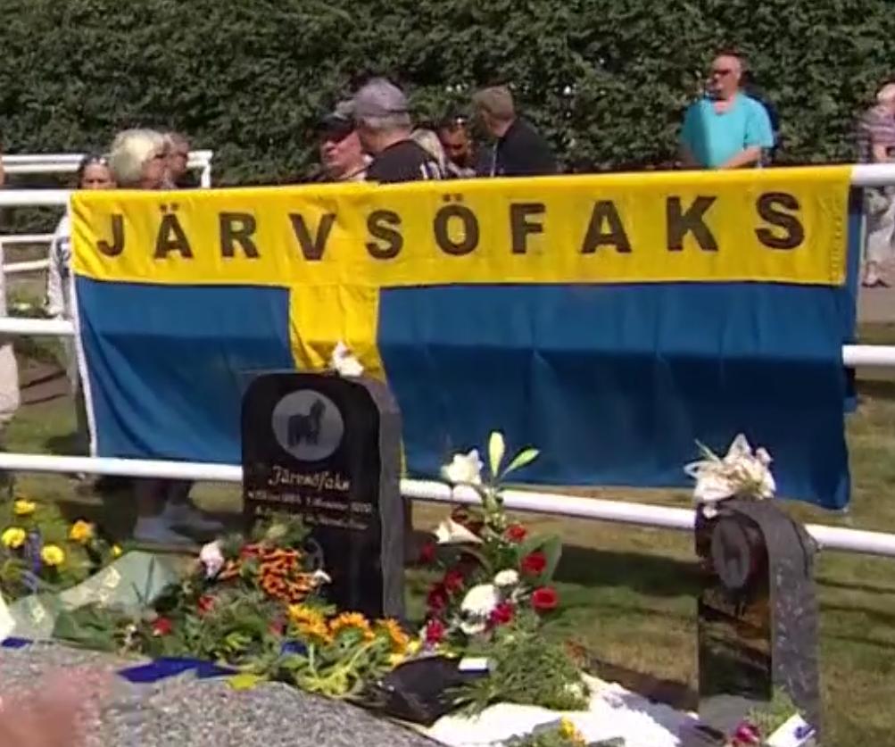 Järvsöfaks är förd till sista vilan tillsammans med sönerna Faksen J:r och Hallsta Lotus.