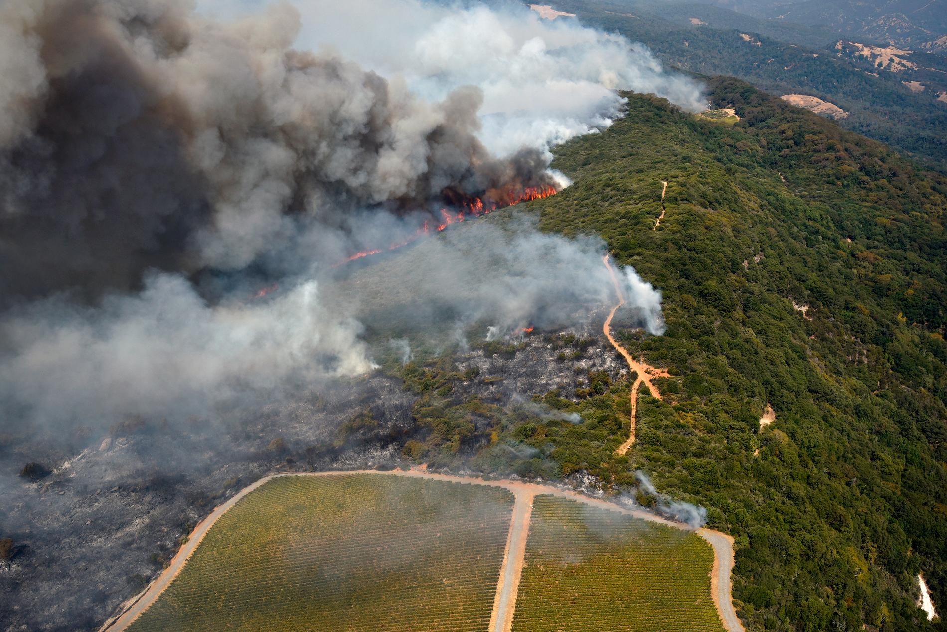 Flygbild över bränderna i vindistrikten öster om Napa. 