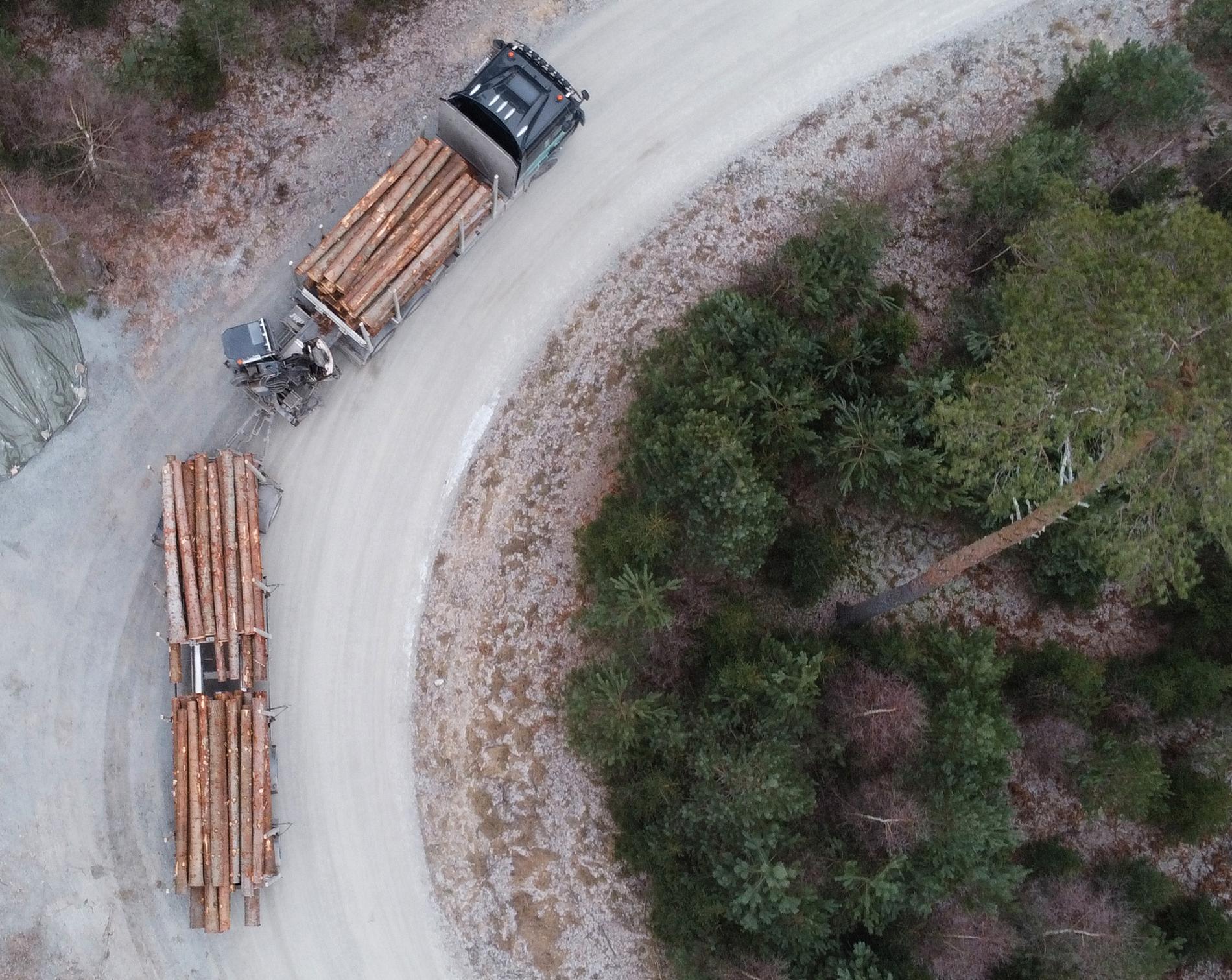En timmerbil lastar timmer vid en avverkning i en skog i Enköping. Arkivbild.