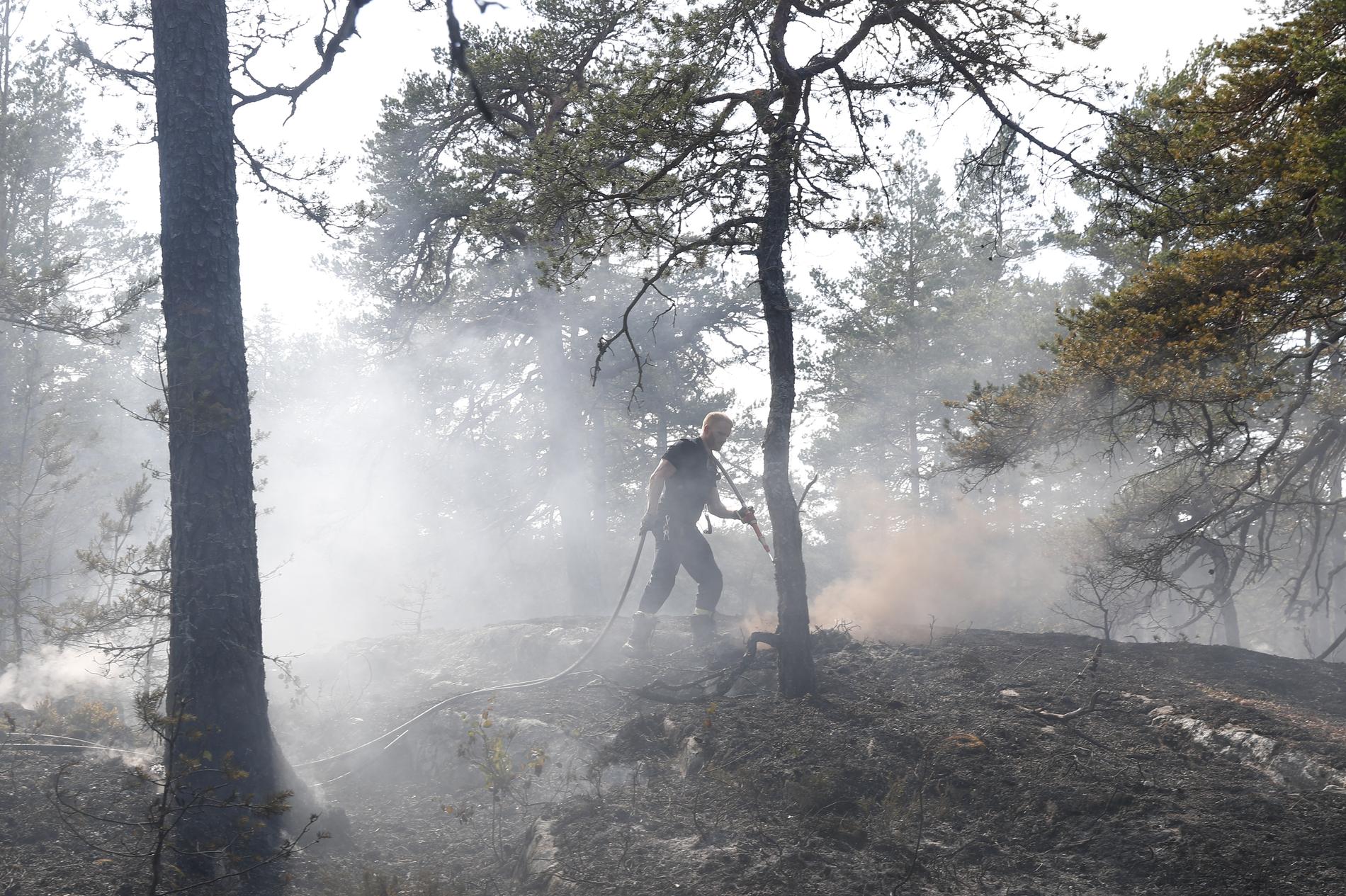 Vid 14-tiden fick räddningstjänsten larm om en ny brand vid Tjursjön i Haninge kommun.
