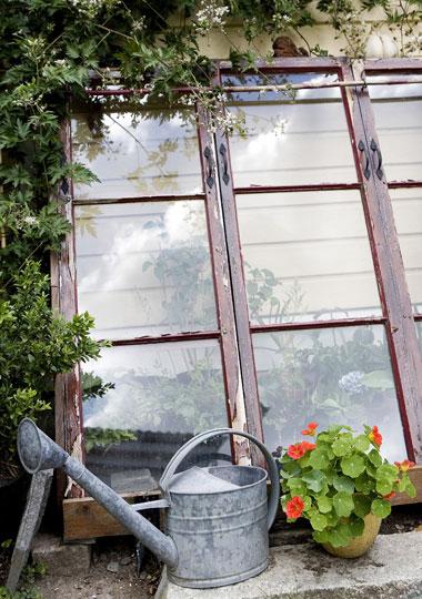 Det charmiga växthuset med sina gamla fönster vilar mot husväggen. Här förvaras fryskänsliga växter.