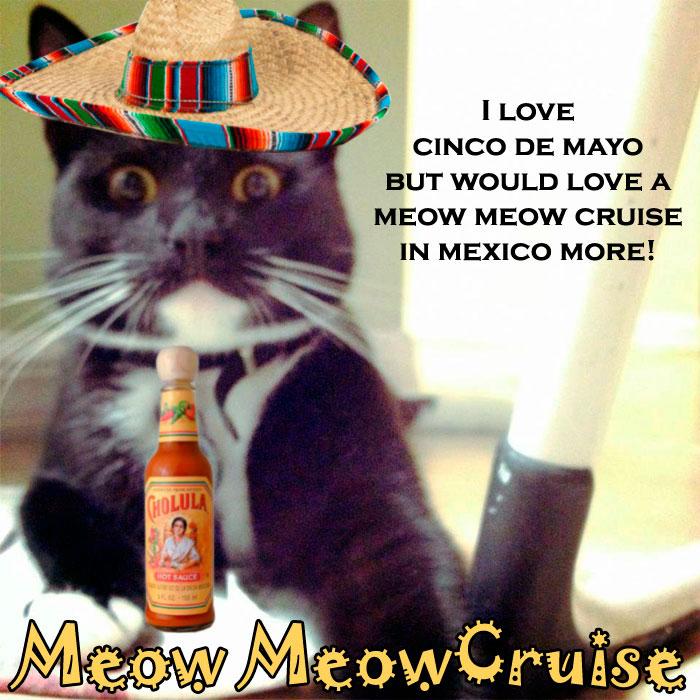 Åk på kattkryssning – utan katter. Annons från Meow Meow Cruise. Cinco de Mayo är en helgdag som firas i Mexiko med anledning av mexikanska arméns seger över fransmännen den 5 maj 1862.