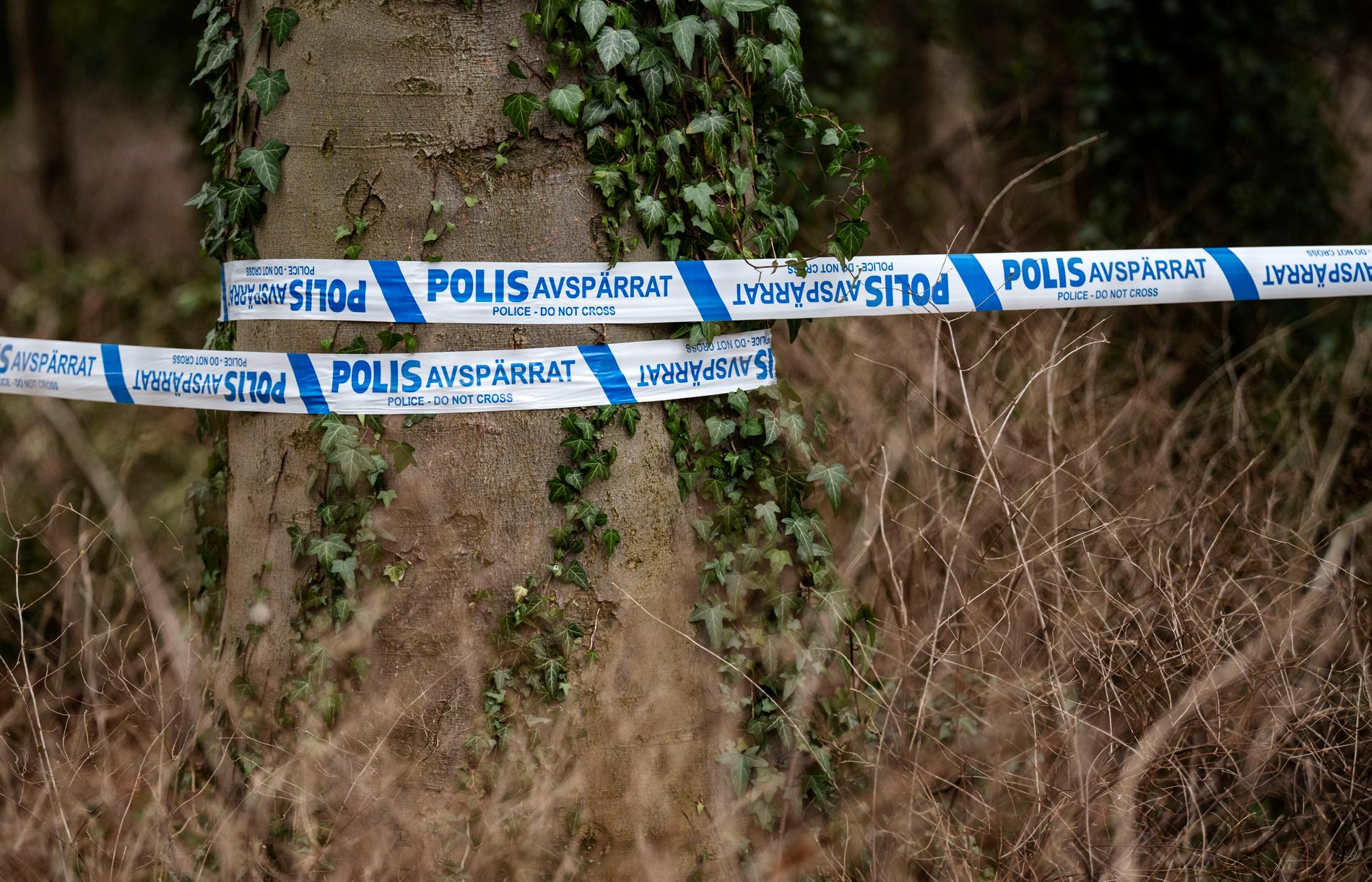 Mordutredningen som inleddes efter ett skelettfynd i en park i Malmö har lagts ner. Arkivbild.