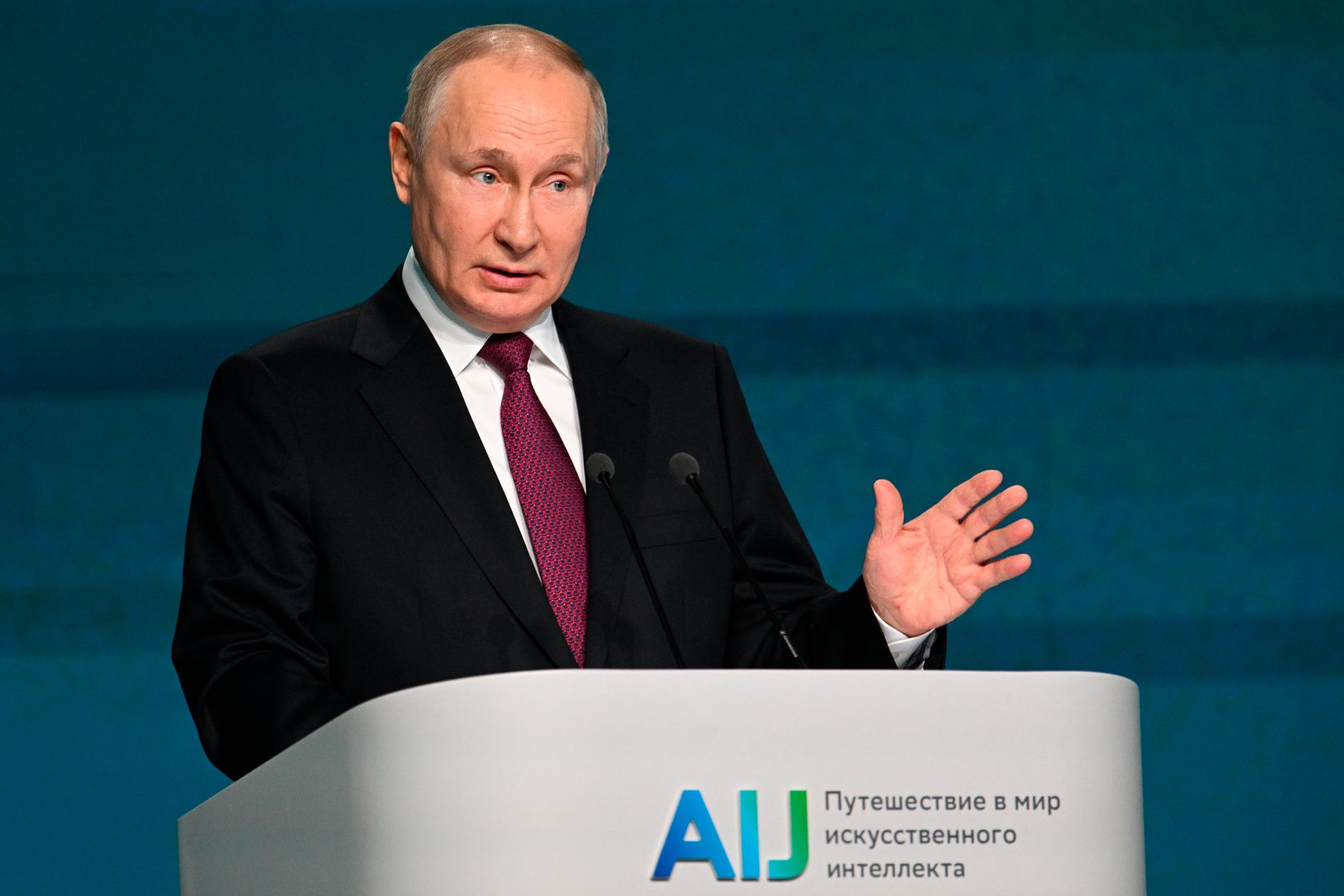 Rysslands president Vladimir Putin i Moskva, november, 2022.