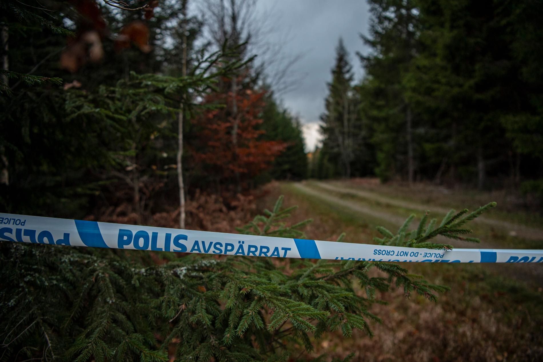 Tove hittades död i ett skogsområde utanför Vetlanda. 