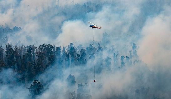 Tusentals turister riskerar att bli omringade av skogsbränder i East Gippsland I sydöstra Australien, enligt räddningstjänsten är det för sent för många av dem att riskfritt ta sig i säkerhet.
