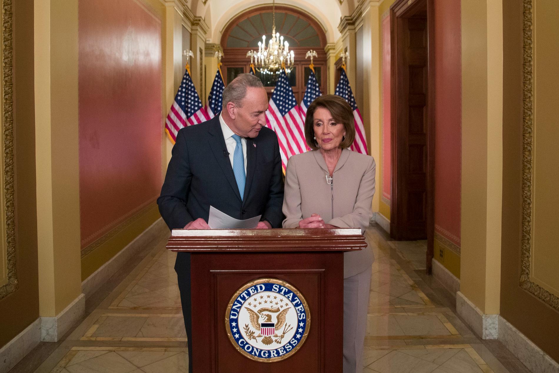 Chuck Schumer, demokratisk minoritetsledare i senaten, och partikamraten Nancy Pelosi, som är representanthusets talman, ger sina svar på president Donald Trumps tal om läget vid USA:s södra gräns.