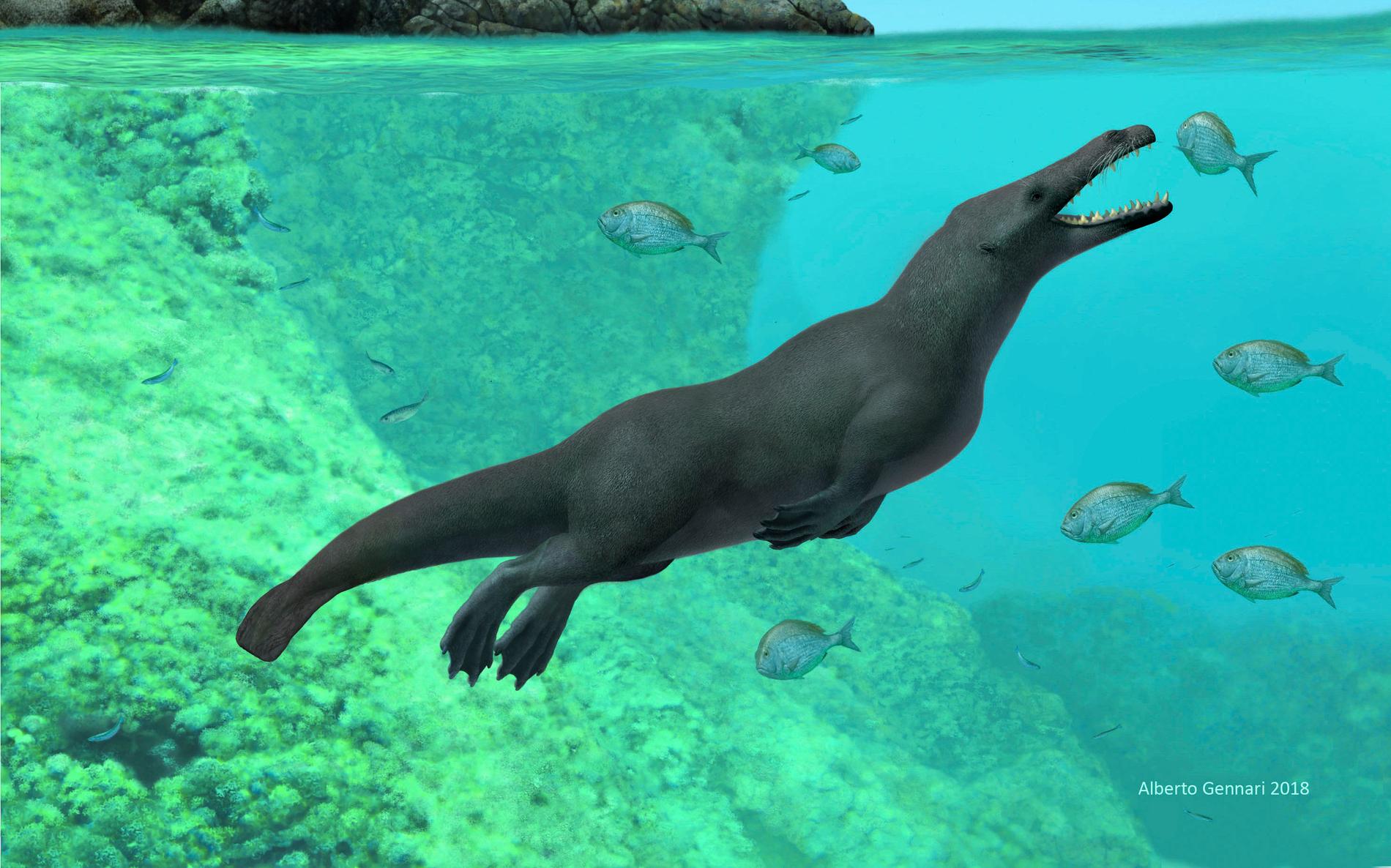 Fossil från den förhistoriska valen har hittats i Peru.