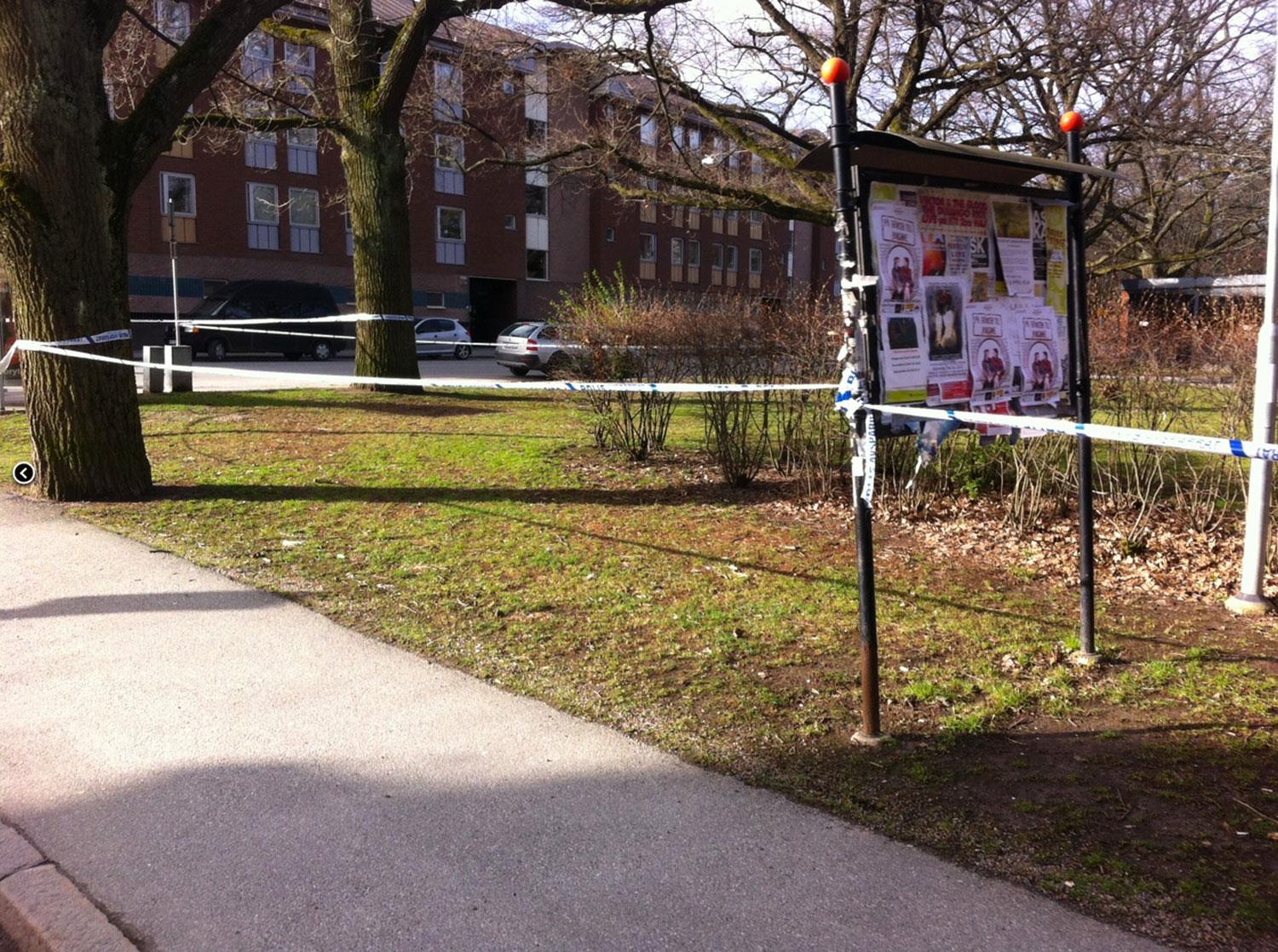 Här i Karl Johan-parken i Örebro hittades den våldtagna kvinnan av kroggäster i natt.