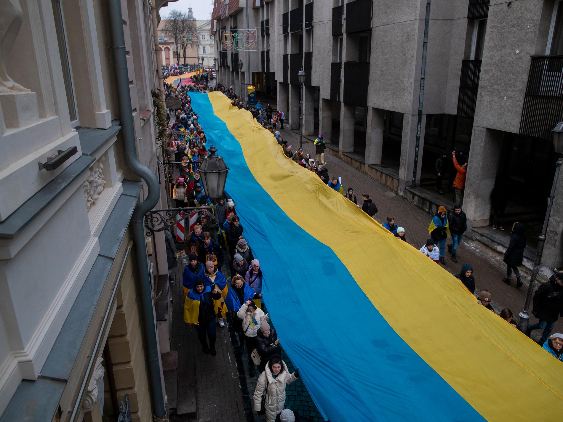 Litauen samlade in 150 miljoner åt Ukraina