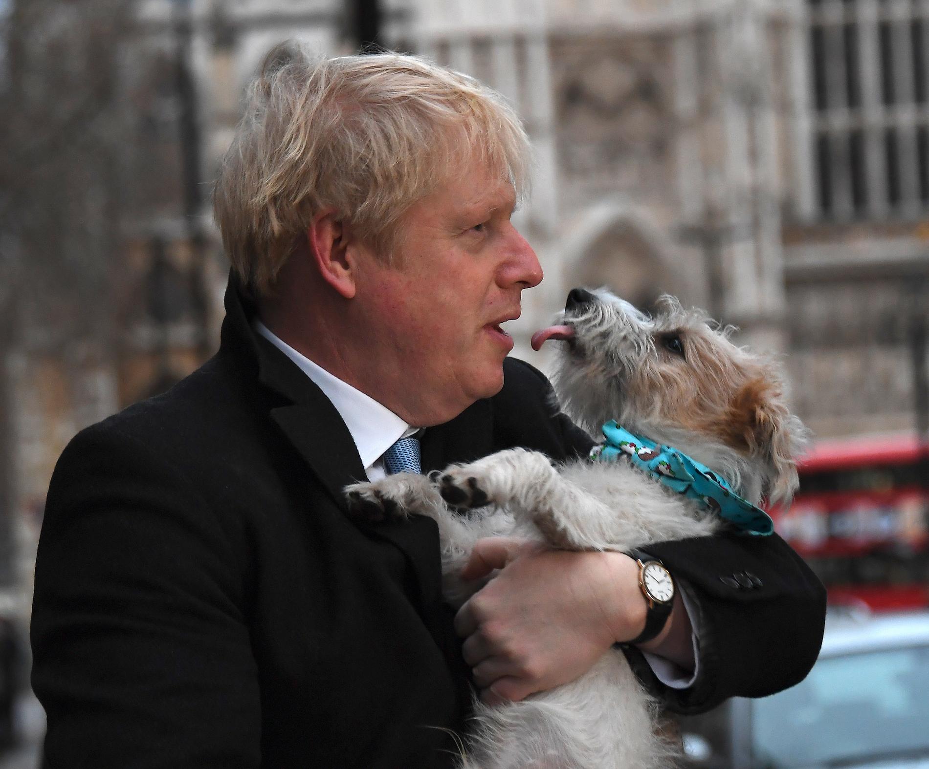 Den brittiske premiärminister Boris Johnson med hunden Dilyn. Arkivbild