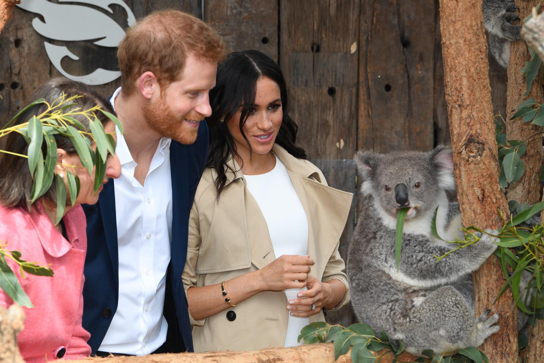 Prins Harry och Meghan Markle tillsammans med koalan Ruby, vars ungar är uppkallade efter prinsparet: Harry och Meghan, på Sydneys zoo.
