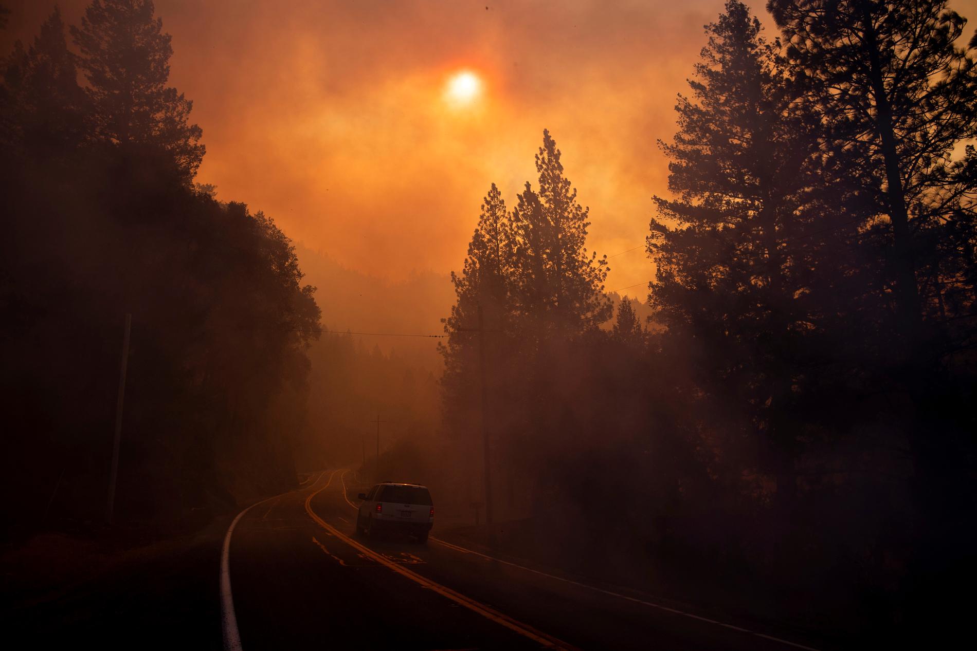 En bil färdas genom rök från en skogsbrand nära Pulga utanför staden Paradise i Kalifornien.