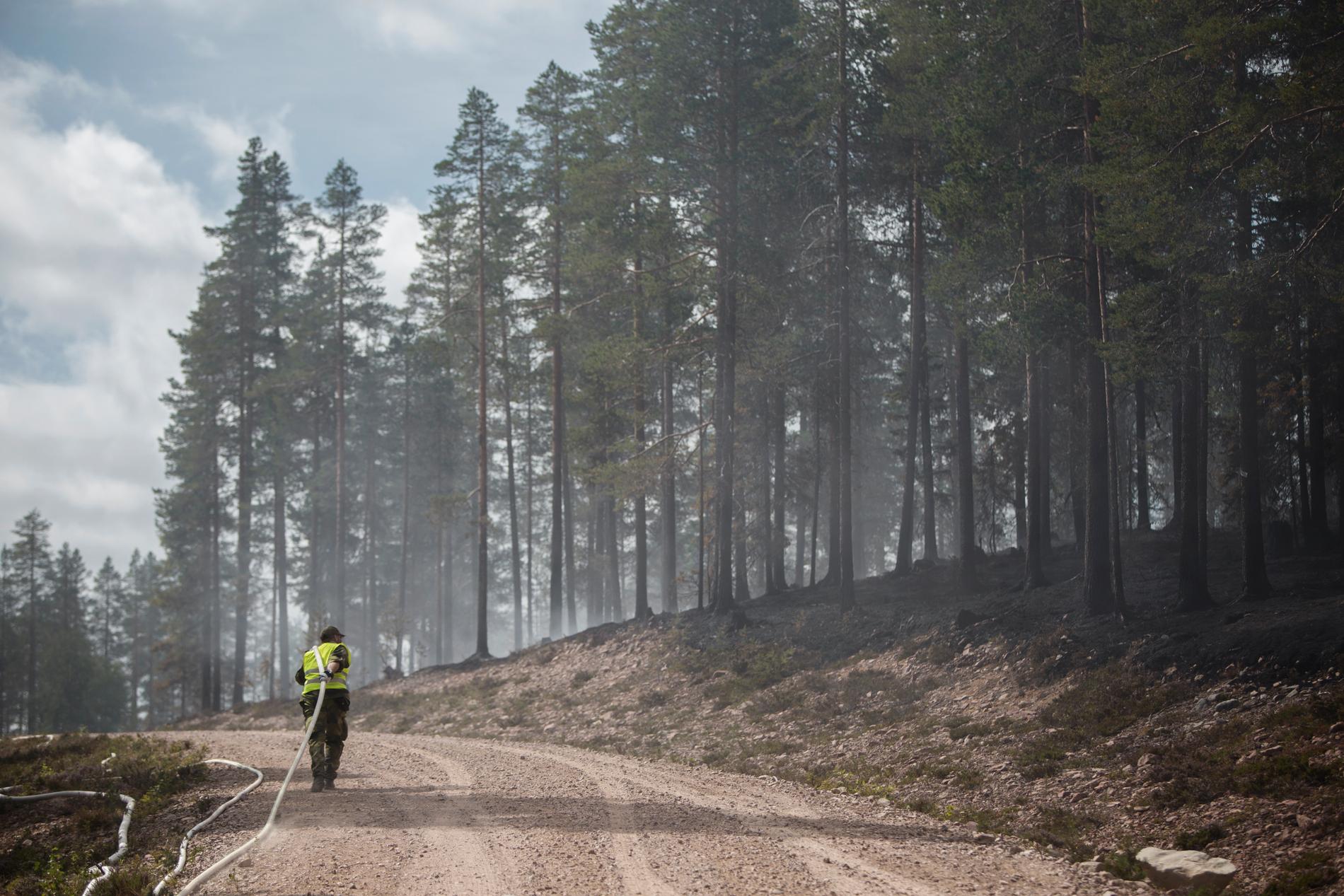 Brandmännen kunde inte meddela sig med varandra vid bland annat branden i Älvdalen i somras. Arkivbild.