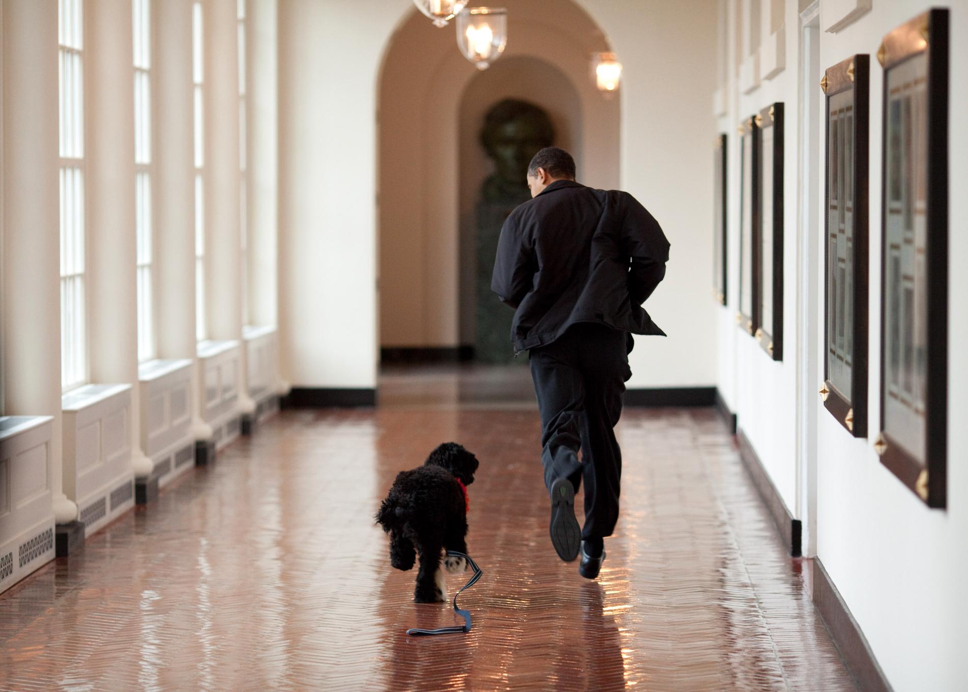 Obama med sin hund Bo.