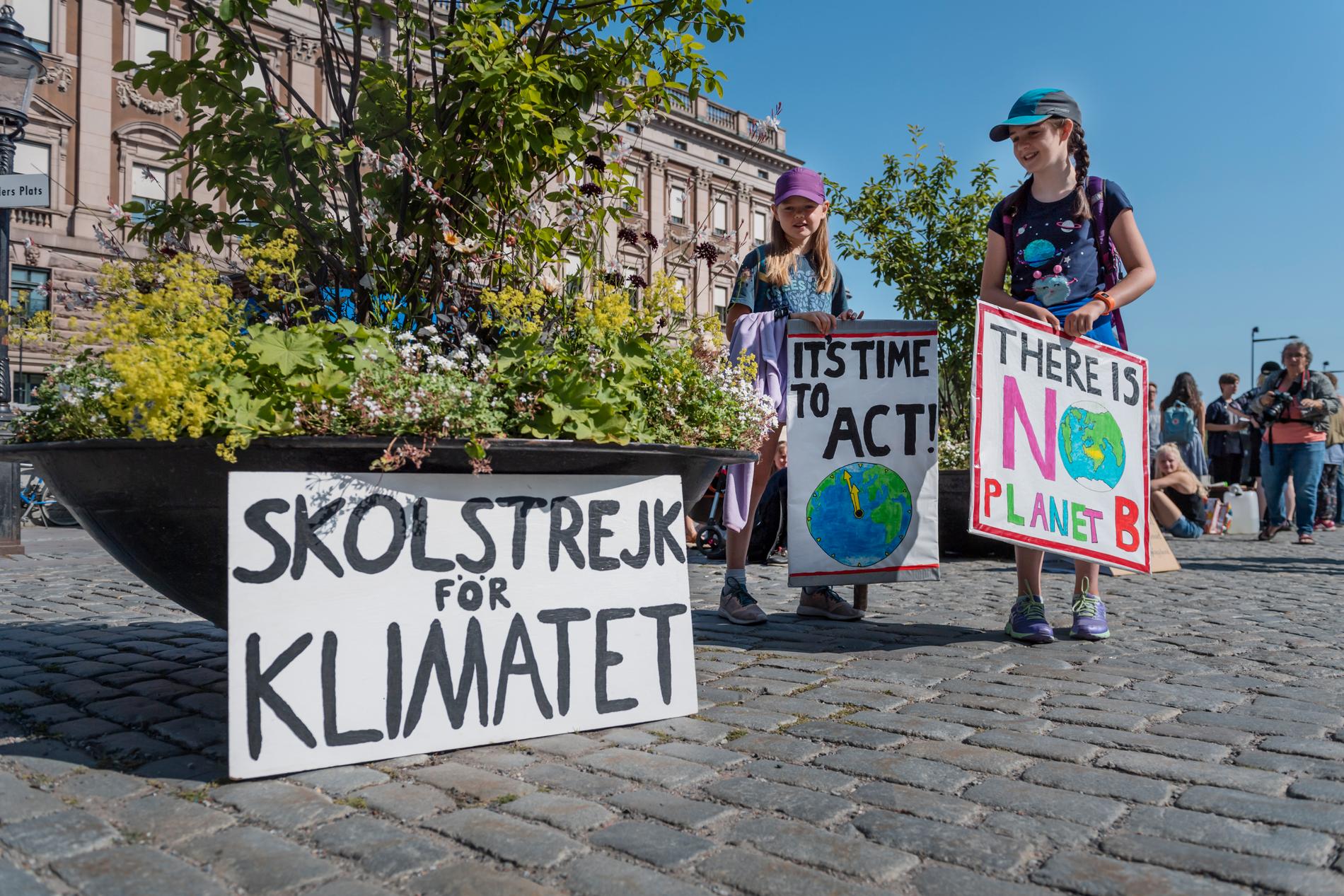 Strejkande elever i Stockholm.