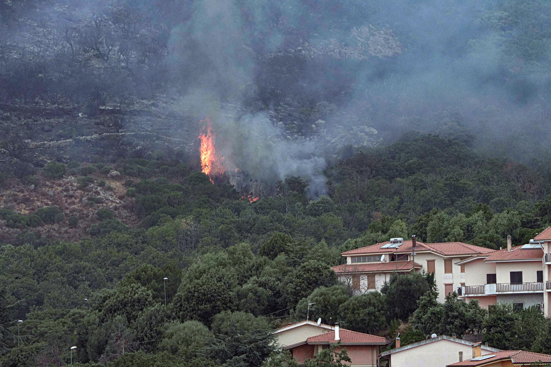 Skogsbränder på Sardinien i slutet av juli föranledde stora evakueringar på ön.