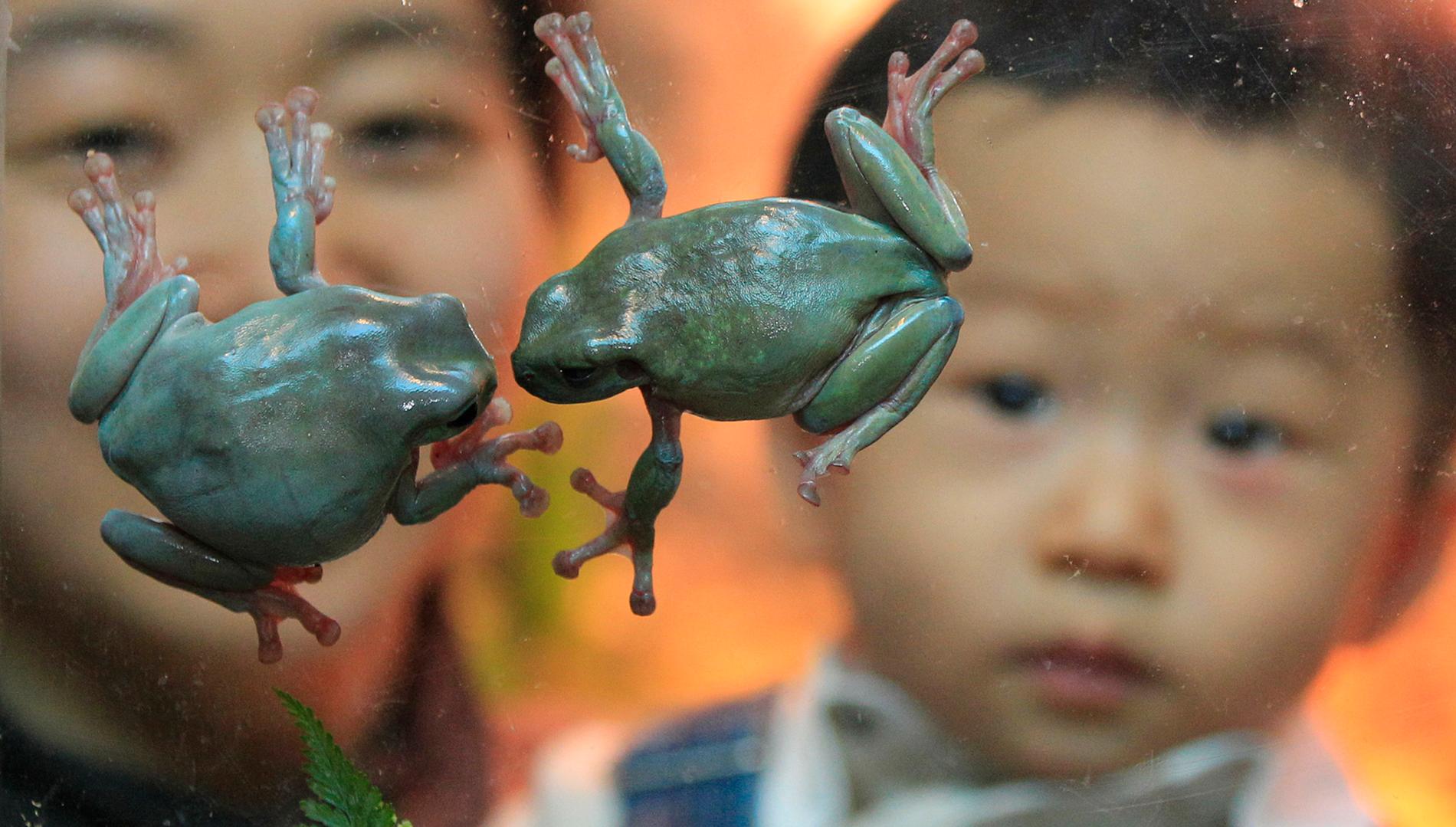 Mamma med barn besöker akvariet i Seoul, Sydkorea. Landets regering inför nya stöd åt barnfamiljerna för att få upp de låga födelsetalen. Arkivbild.