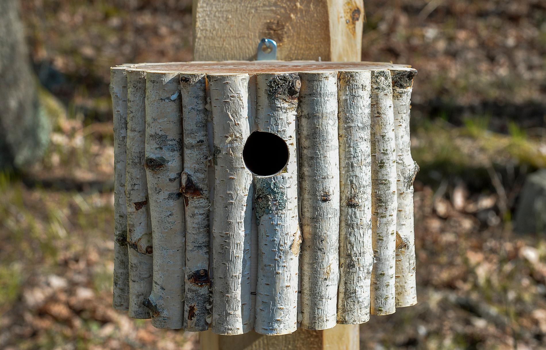 Att sätta upp fågelholkar har blivit en vanligare hållbarhetsåtgärd bland Riksbyggens bostadsrättsföreningar. Arkivbild.