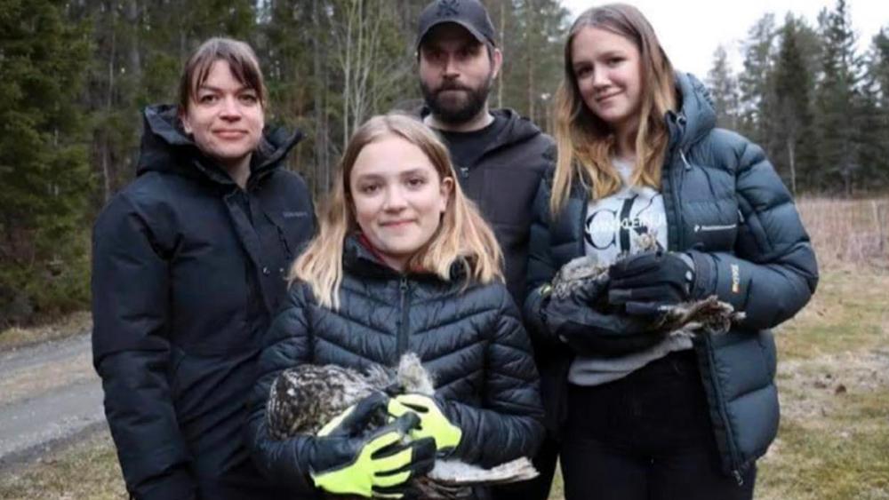 Efter att ugglorna vårdats på Järvzoo, släppte familjen ut dem i det fria igen. Elin Svensson, Isabell Selin, 11, Peter Wallin och Alva Selin, 15, tyckte det var en fantastisk upplevelse. 