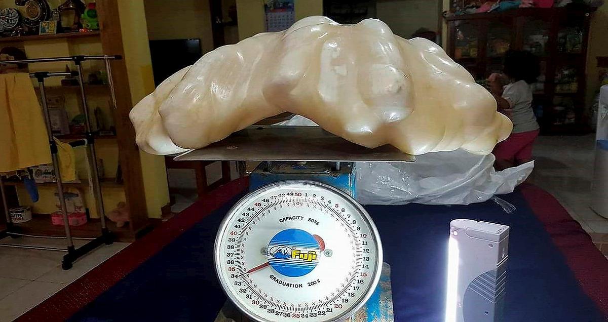 34 kilos dyrgrip Den kan vara världens största saltvattenpärla, värd hundratals miljoner. Pärlan plockades upp för över tio år sedan, men nu går det att beskåda dyrgripen i Puerto Princesas stadshus i Filippinerna.