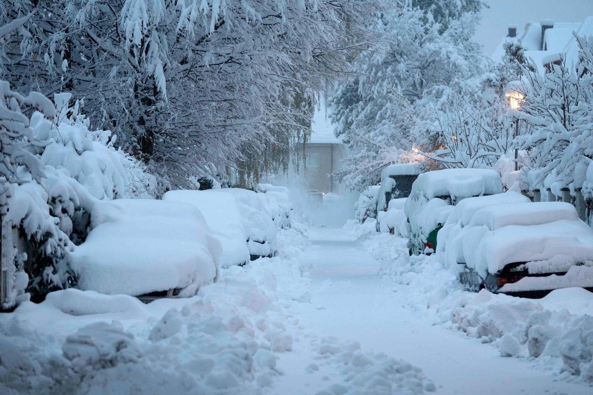 De kraftiga snöfallen har orsakat kaos i södra Tyskland.