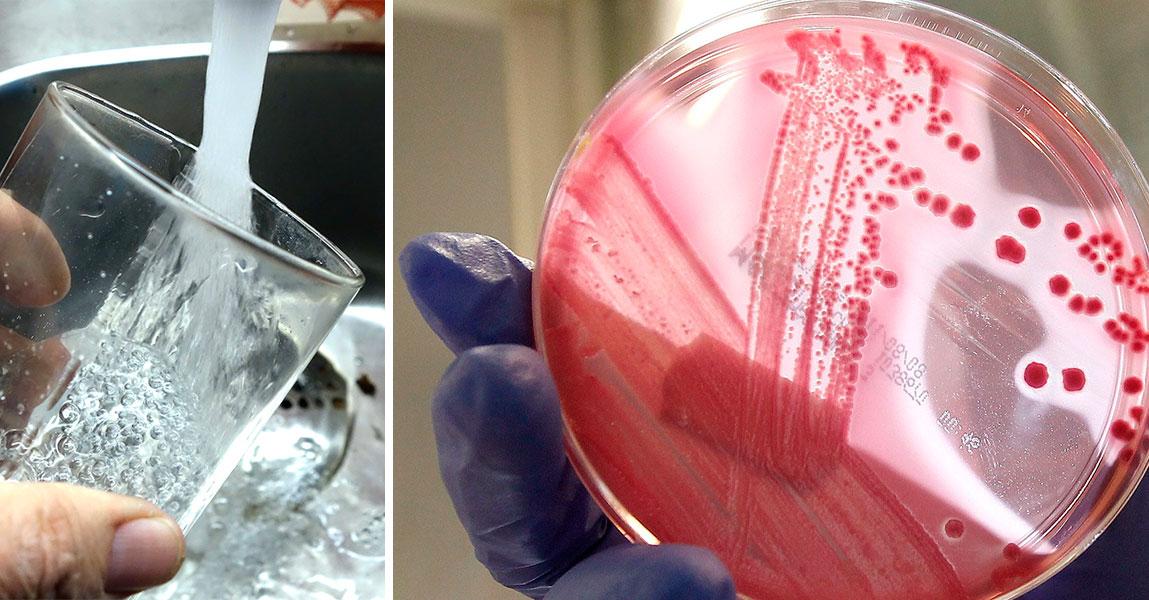 Tarmbakterien e-coli har hittats i dricksvattnet.
